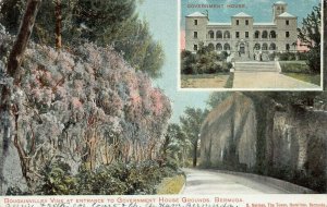 Bougainvillea Vine at Entrance to Government House, Bermuda, 1907 Postcard, Used