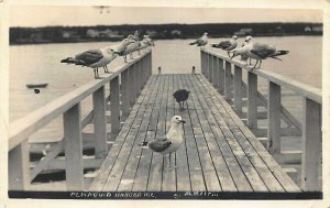 Pemaquid ME Harbor Sea Gulls Boat Deck Real Photo Postcard