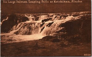 Postcard Alaska Six Large Salmon Leaping Falls at Ketchikan ~1910 V194