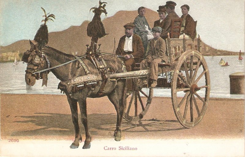 Carro Siciliano. Horse Nice old vintage Italian postcard