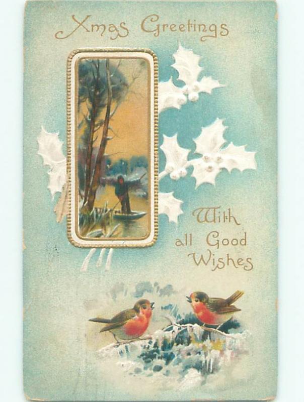 Divided-Back CHRISTMAS BIRDS SCENE Pretty Postcard W8546