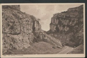 Somerset Postcard - The Gorge, Cheddar    RS6837