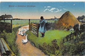BG19089  widoki z krolestwa poskiego goose poland types folklore