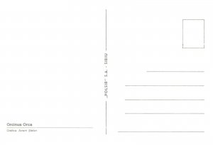 B587 Orca (Orcinus orca) or toothed killer whale postcard