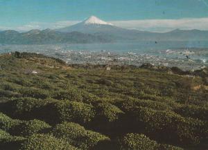 Mount Fuji, Japan - City of Shimizu - pm 1966