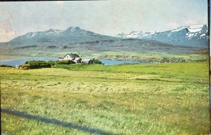 POSTCARD. ICELAND. Oldfashioned turf stables in Iceland.