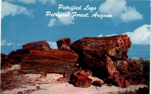 Petrified Forest Arizona Postcard C10311 vintage postcard