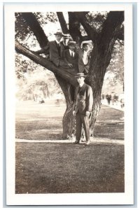 Chicago Illinois IL Postcard Lincoln Park Five Men in Tree c1910 RPPC Photo