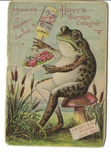 AB-015 MA Lowell Hoyt's German Cologne Frog on Mushroom Victorian Trade Card