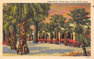 Palm Grove - Corpus Christi, Texas TX  