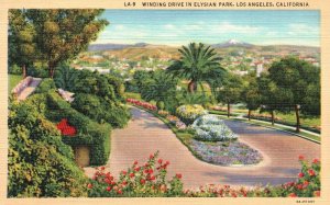 Vintage Postcard Winding Drive in Elysian Park Los Angeles California CA