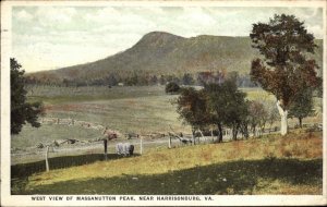 Harrisonburg Virginia VA Massanutton Peak Bird's Eye View Vintage Postcard