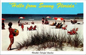 Florida Beach Scene Hello From Sunny Florida