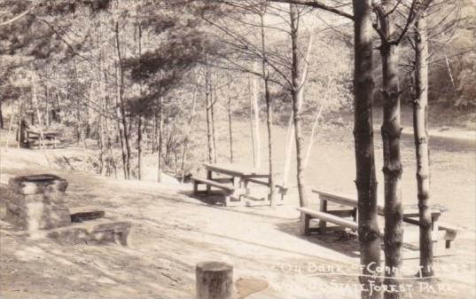 Picnic Area Bank Of Connecticut River State Forest Pennsylvania Real Photo