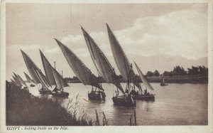 B204 Egypt Sailing Boats on the Nile vintage postcard
