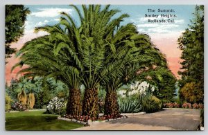 Redlands CA The Summit Smiley Heights California Postcard X22