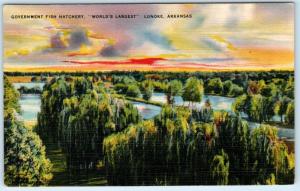 LONOKE, Arkansas  AR   World's Largest  GOVERNMENT FISH HATCHERY c1940s Postcard