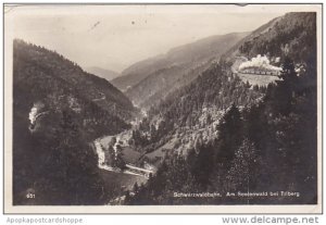 Germany Schwartzwaldbahn Am Seelewald bei Triberg Real Photo