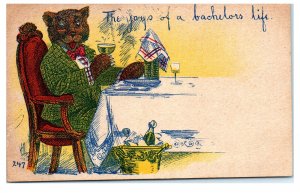 1900s The Joys of a Bachelor's Life Dressed Bear Drinking Champagne Postcard