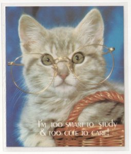 Cat, Too Smart To Study, Too Cute To Care, 1984 Novelty Russ Coaster Postcard