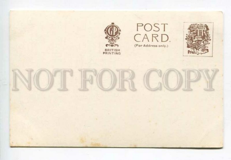 3158265 UK England KEW GARDENS Palace Vintage postcard
