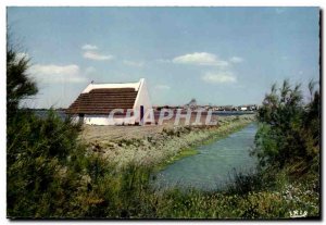 Postcard With The Modern Camargue herdsmen