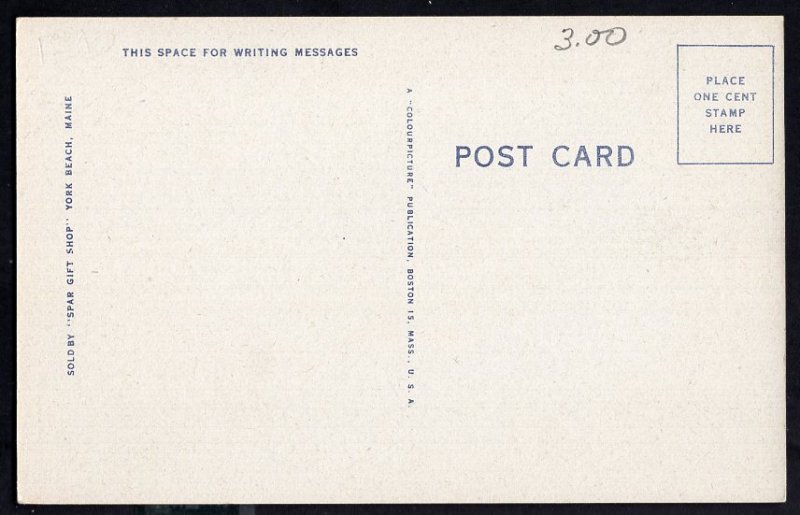 Maine YORK BEACH Long Beach from the Air LINEN