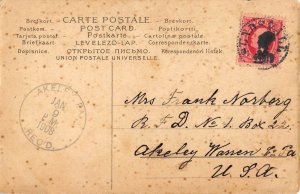 LP67  Postcard New Year's Collectible Gott Nytt Ar Children Flag