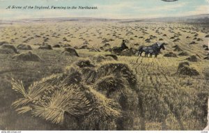 Dry Farming , Northwest USA , 00-10s