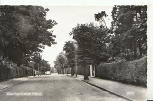 Yorkshire Postcard - Chestnut Avenue - Hessle - Real Photograph - Ref 13404A