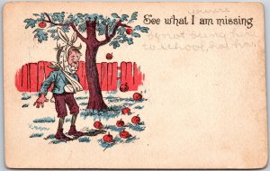 1908 See What I Am Missing Boy Picking Apples Comic Posted Postcard