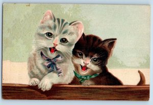 Germany Postcard Cute Cat Kittens With Bow Animals Embossed c1910's Antique