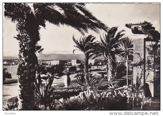 RP, Les Grands Hotel Vus Des Nouveaux Jardins, Cannes (Alpes Maritimes), Fran...