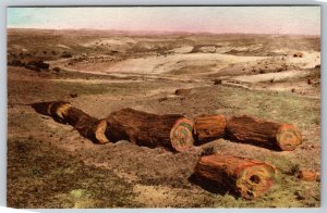 Petrified Forest Logs Holbrook AZ UNP Hand Colored Albertype DB Postcard F17