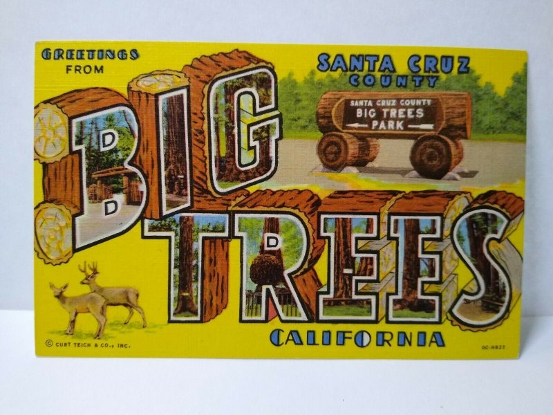 Greetings From Big Trees Santa Cruz California Large Letter Postcard Deer Logs  