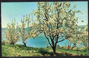 British Columbia ~ OKANAGAN LAKE Penticton Spring - Chrome 1950s-1970s