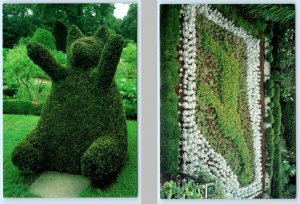PORTSMOUTH, RI ~ Topiary Bear GREEN ANIMALS Yellow Giraffe Garden 4x6 Postcard