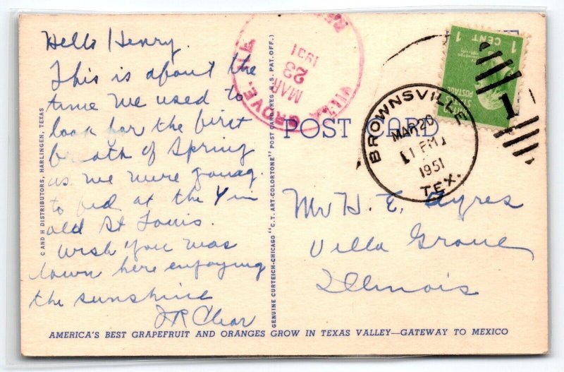 Greetings From Lower Rio Grande Valley Texas Large Letter Postcard Linen 1951