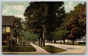 Bristol Vermont~North Street Residential Area~Victorian Homes~c1910 Postcard