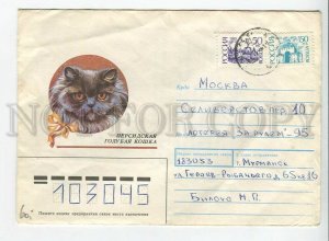 447818 RUSSIA 1990 year Usova persian blue cat 1994 real posted COVER