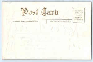 c1910's Halloween Anthropomorphic Vegetables Pumpkin Embossed Antique Postcard