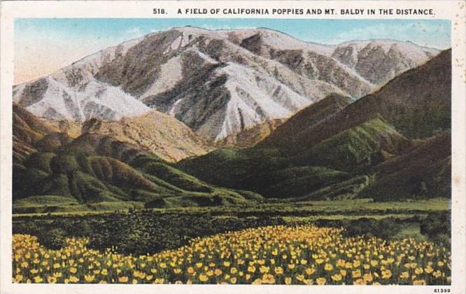 California A Field Of California Poppies and Mt Baldy In The Distance