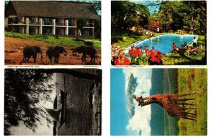 KENYA 96 AFRIQUE AFRICA Postcards CPM Mostly 1950-1990 (L3287)
