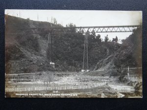 New Zealand MOKOHINE / MAKOHINE VIADUCT N.I Main Trunk Railway c1909 RP Postcard