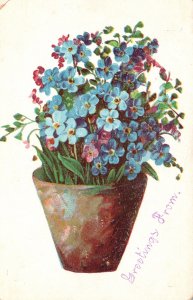 Vintage Postcard Greetings From Blue Forget Me Nots Flowers In Brown Vase