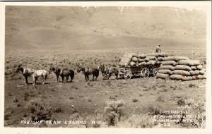 RPPC Freight Team Loading Wool Tenabo NV Moore & Stone Winnemucca Postcard V20