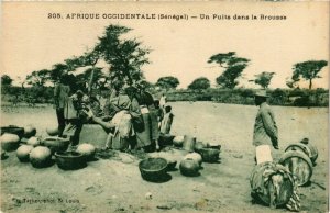 CPA AK Afrique Occidentale Un Puits dans la Brousse SENEGAL (822021)