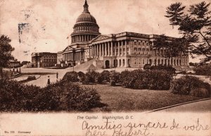 USA Washington D.C. The Capitol Vintage Postcard C226