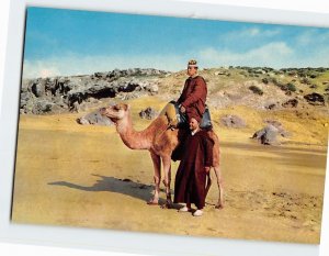 Postcard Camel and riders, Maroc Pittoresque, Morocco