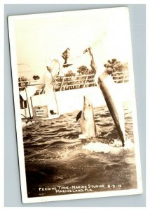 Vintage 1940's RPPC Postcard Sailor Feeding Dolphin Marineland St. Augustine FL